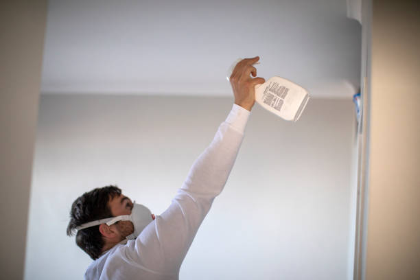 Best Best Mold Removal Companies  in Dewitt, MI