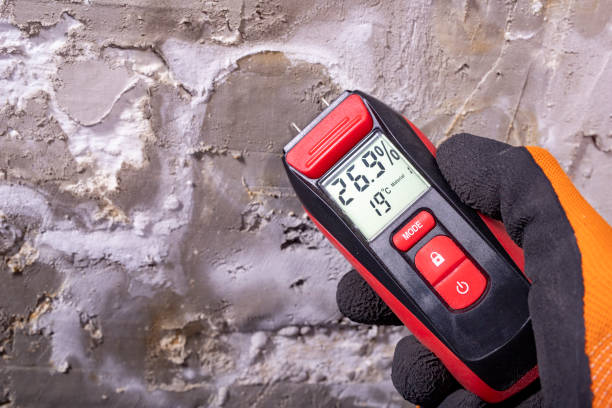 Best Residential Mold Removal  in Dewitt, MI