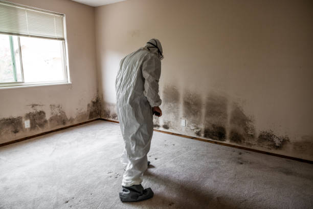 Best Mold Testing  in Dewitt, MI